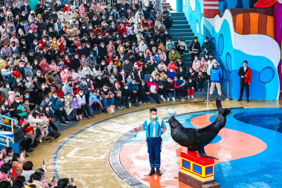 元宵特惠门票,元宵优惠促销