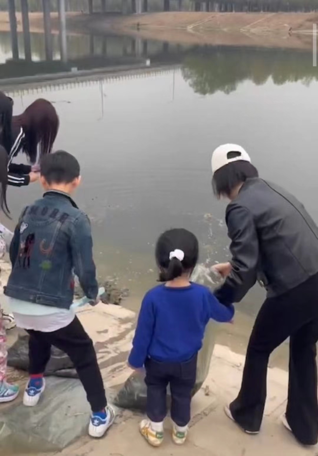 好心做坏事！TVB前女星带女儿郊外大量放生牛蛙，被网友批没常识