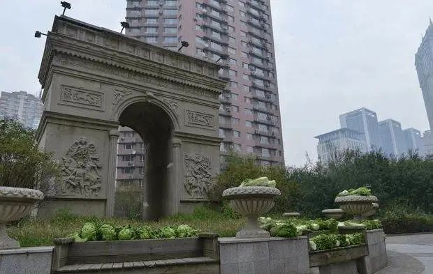 东北人冬天买白菜,盘点东北人买白菜