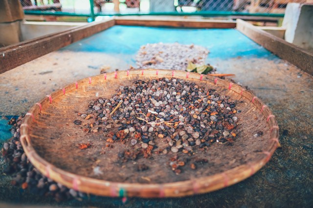 十大高档咖啡猫屎咖啡,猫屎咖啡和什么咖啡最贵