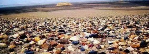 *疆新**10个捡石头腹地曝光！有一种致富方式叫去*疆新**捡石头！