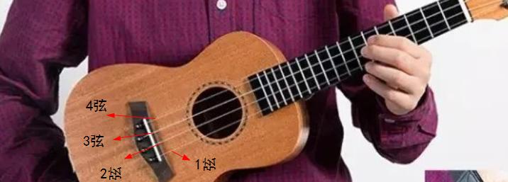 保姆级扫弦教学尤克里里,乐器培训尤克里里