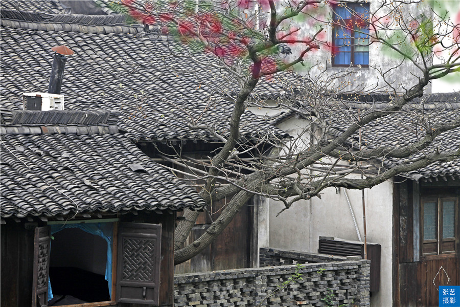 江南十大古镇之乌镇,江南水乡乌镇简介资料