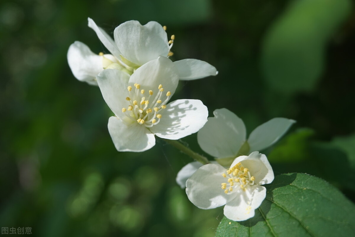 原创诗词集100首,原创诗词大全100首