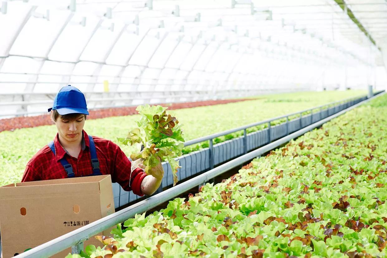 现在为什么种地要考证,农民种地也要考证真的吗