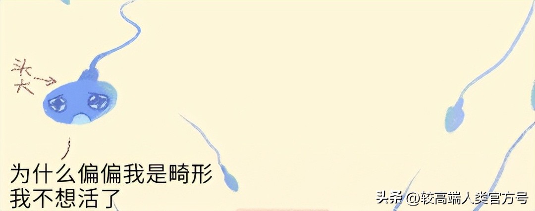 “一夜情”怀孕的几率有多大？男人该如何判断孩子是不是我的？