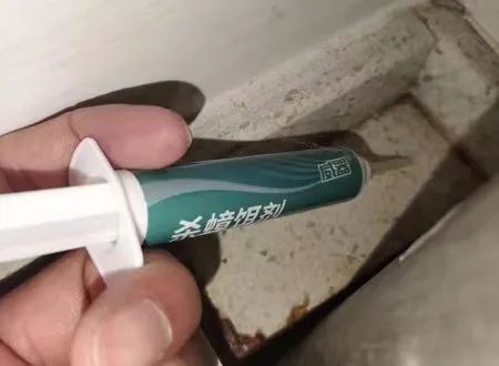 土方法灭蟑螂怎么正确消灭最彻底,灭蟑螂误区及正确的灭蟑螂方法