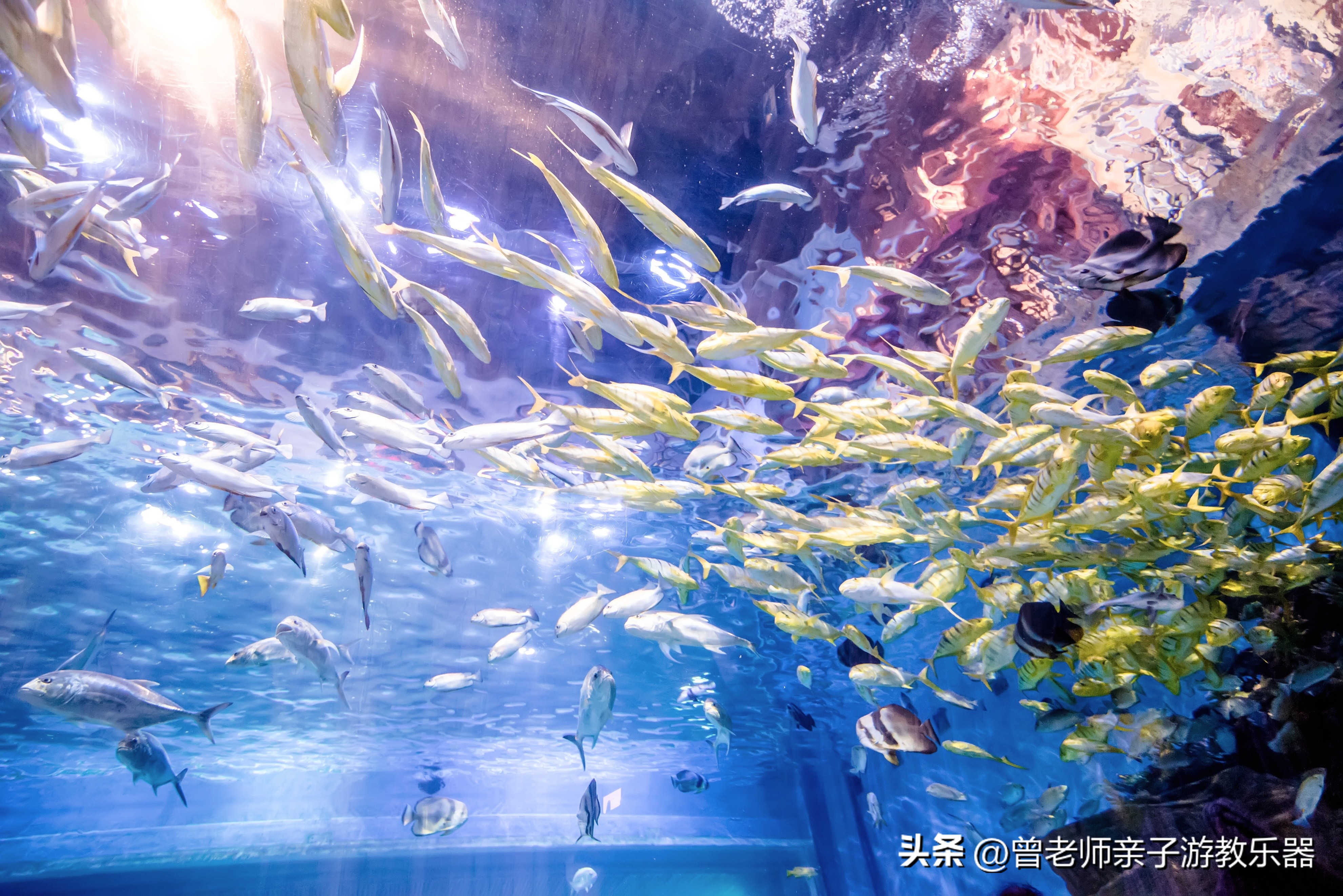 2023西安亲子游景区大全，30多个遛娃宝地，很多都免费