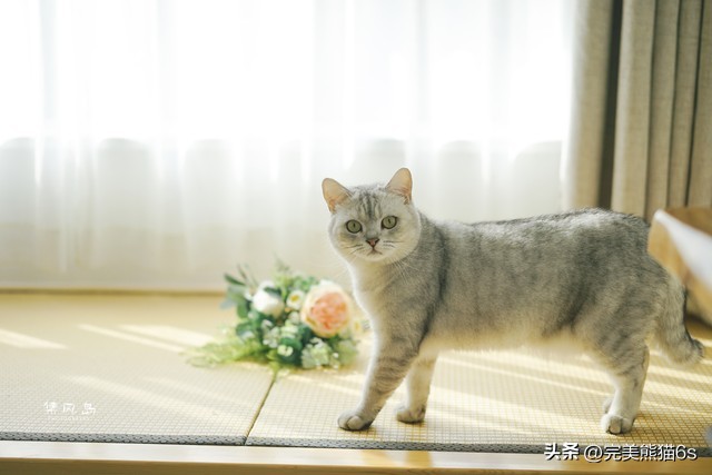 给你讲个睡前小故事吧,给你讲个睡前小故事