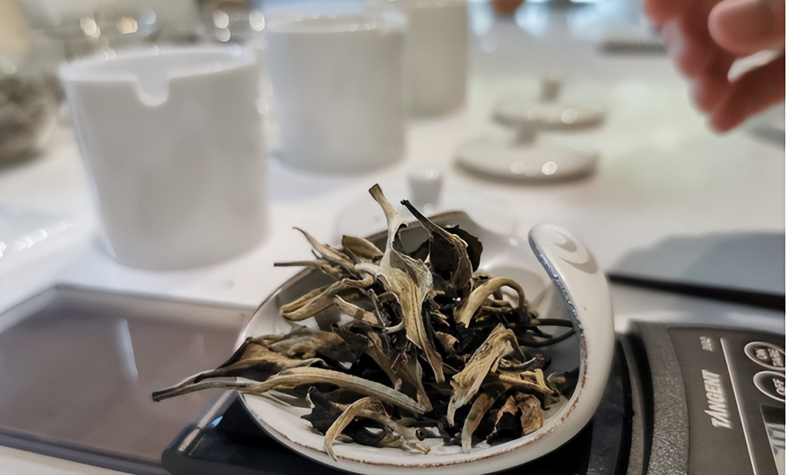 湿寒体质喝什么茶秋天喝好,秋天干燥喝六大类茶哪个好