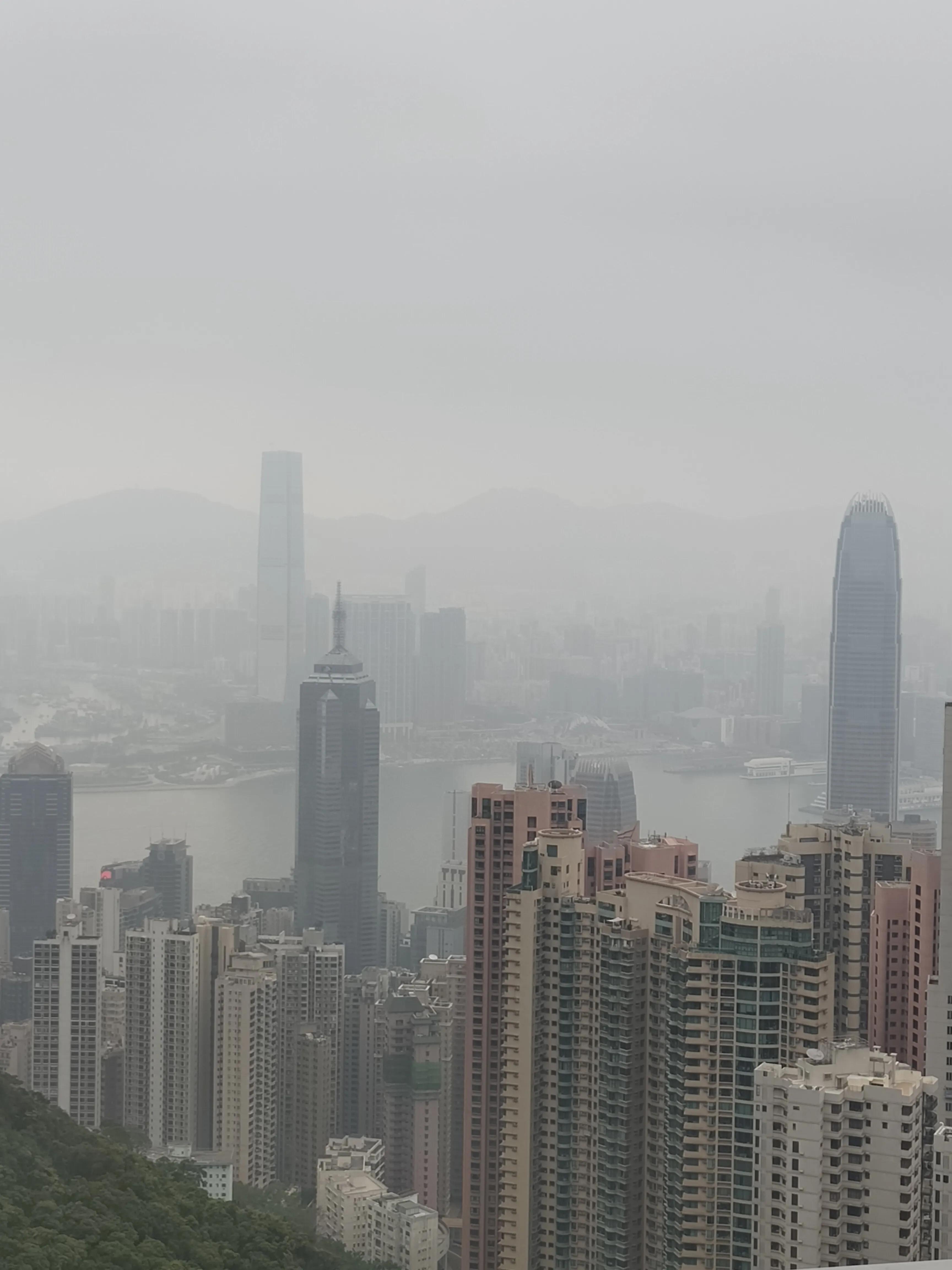 香港一日游路线,香港一日游带孩子最佳攻略自由行