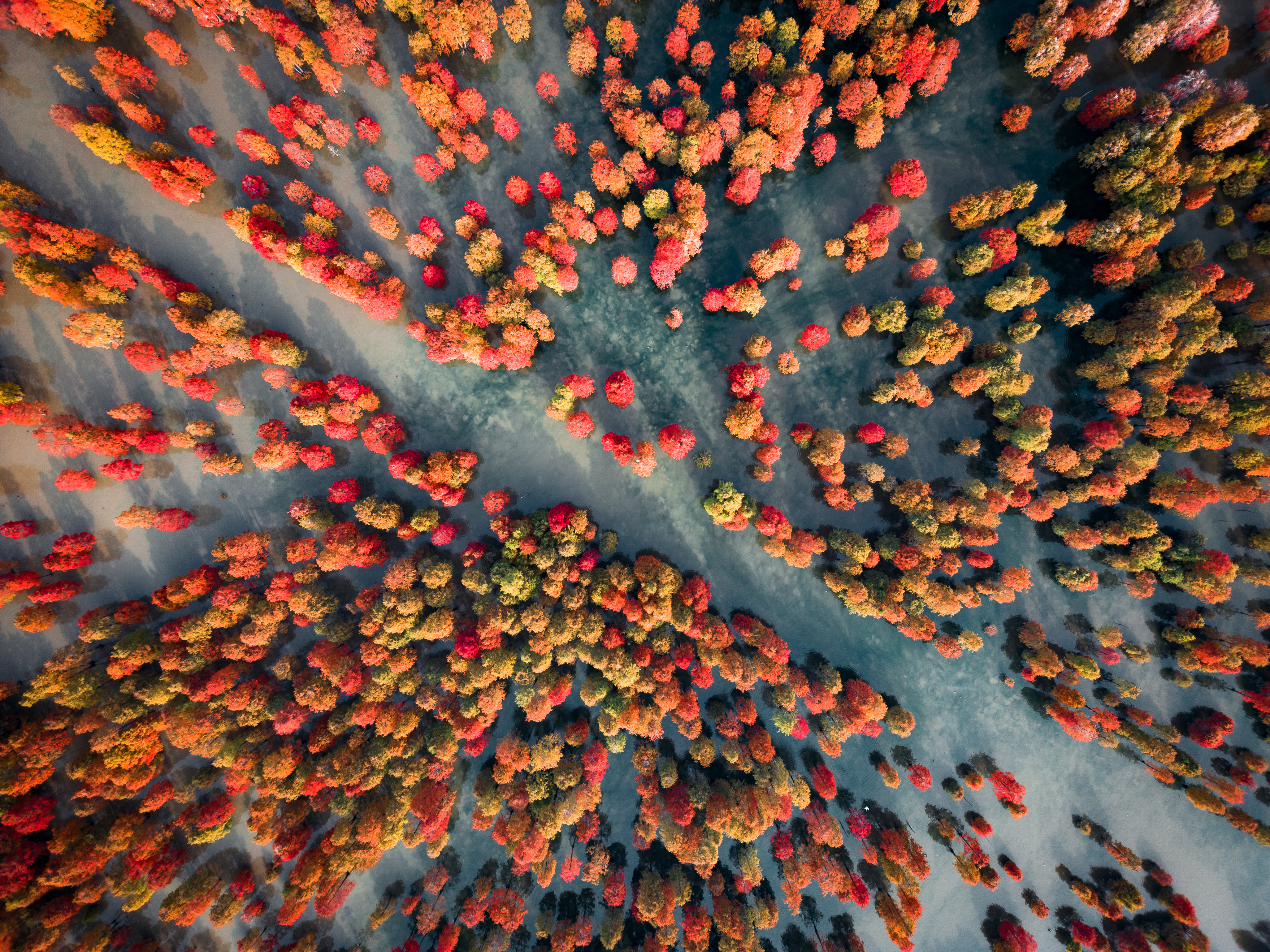 苏浙皖赣的旅游景点有多少,苏皖旅游景点推荐
