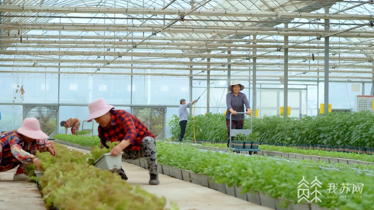 江苏南京激发夜间文旅消费新活力,农文旅融合助推乡村振兴广西