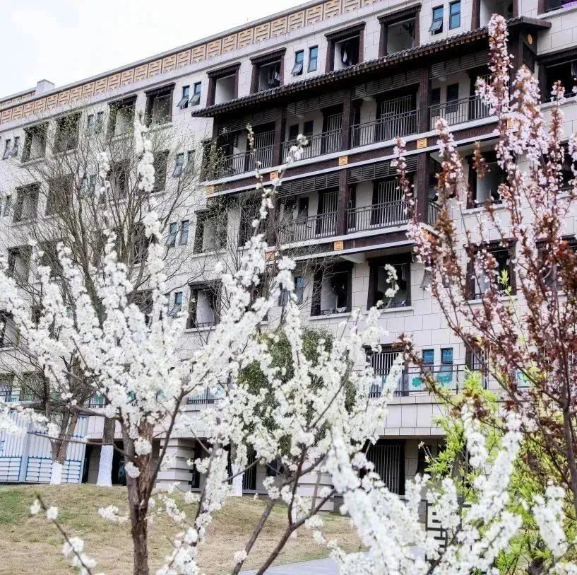 恋爱赏花没时间？四川这所高职专门放假7天过春天！谁羡慕我不说