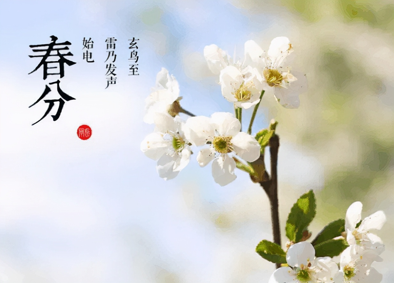 铁道兵战友诗30首,铁道兵退伍战友聚会诗