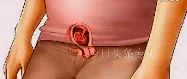 母爱伟大图片带字,母爱最伟大照片