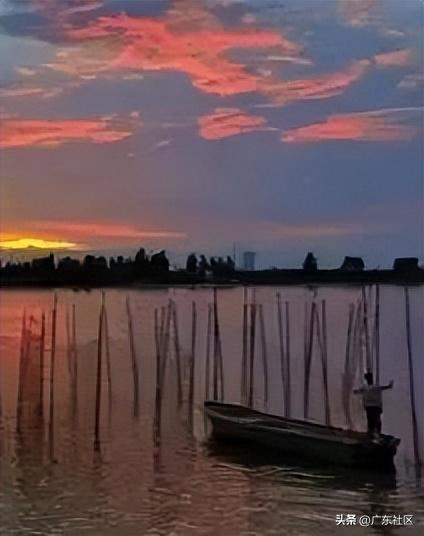 春季国内观鸟热门地,这份观鸟地图请收好