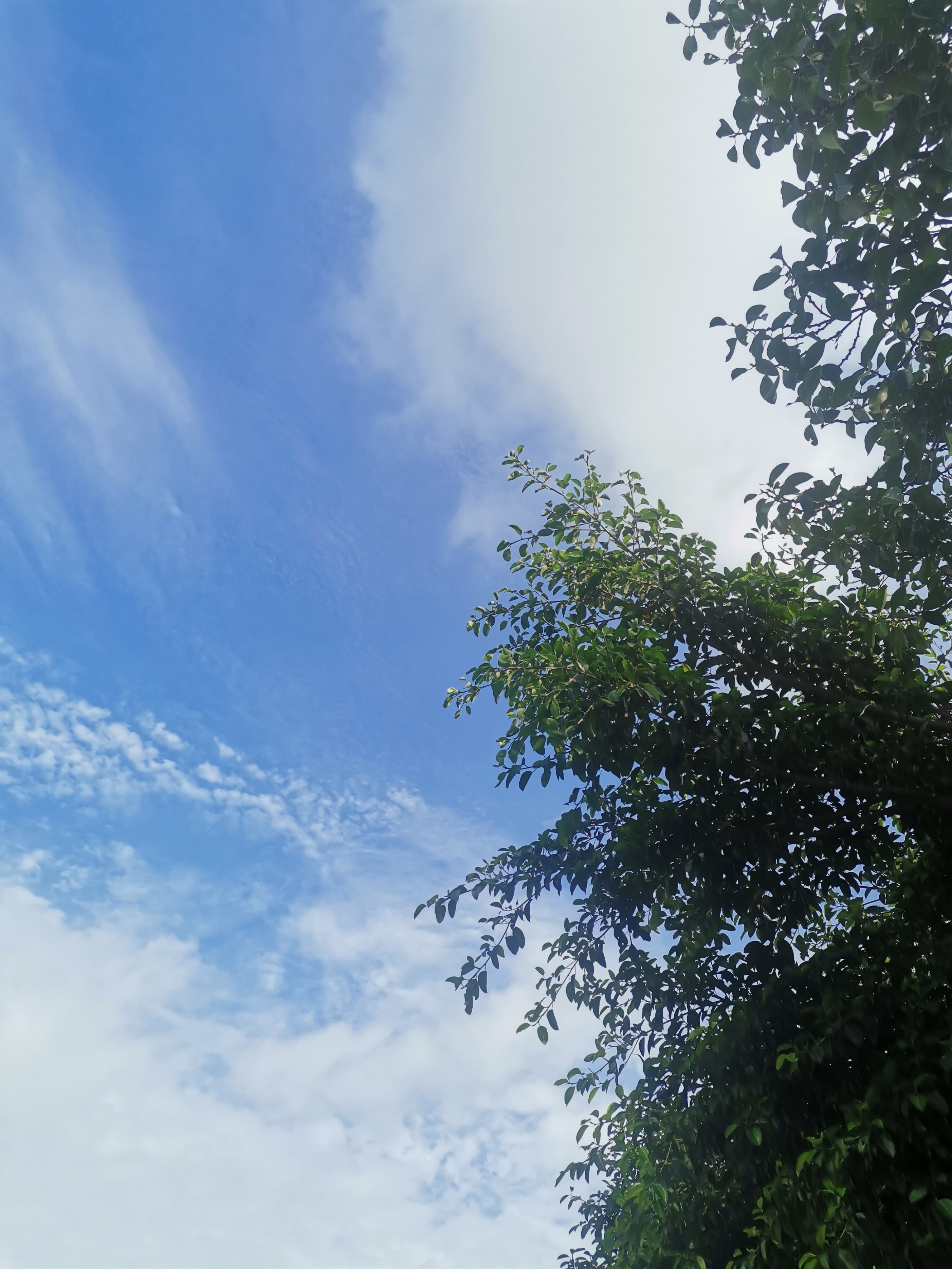 38妇女节文案高级,38妇女节文案女装