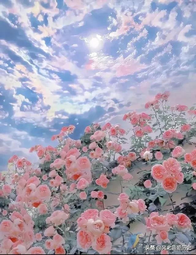 对付自私婆婆的妙招,对付自私婆婆最好的办法