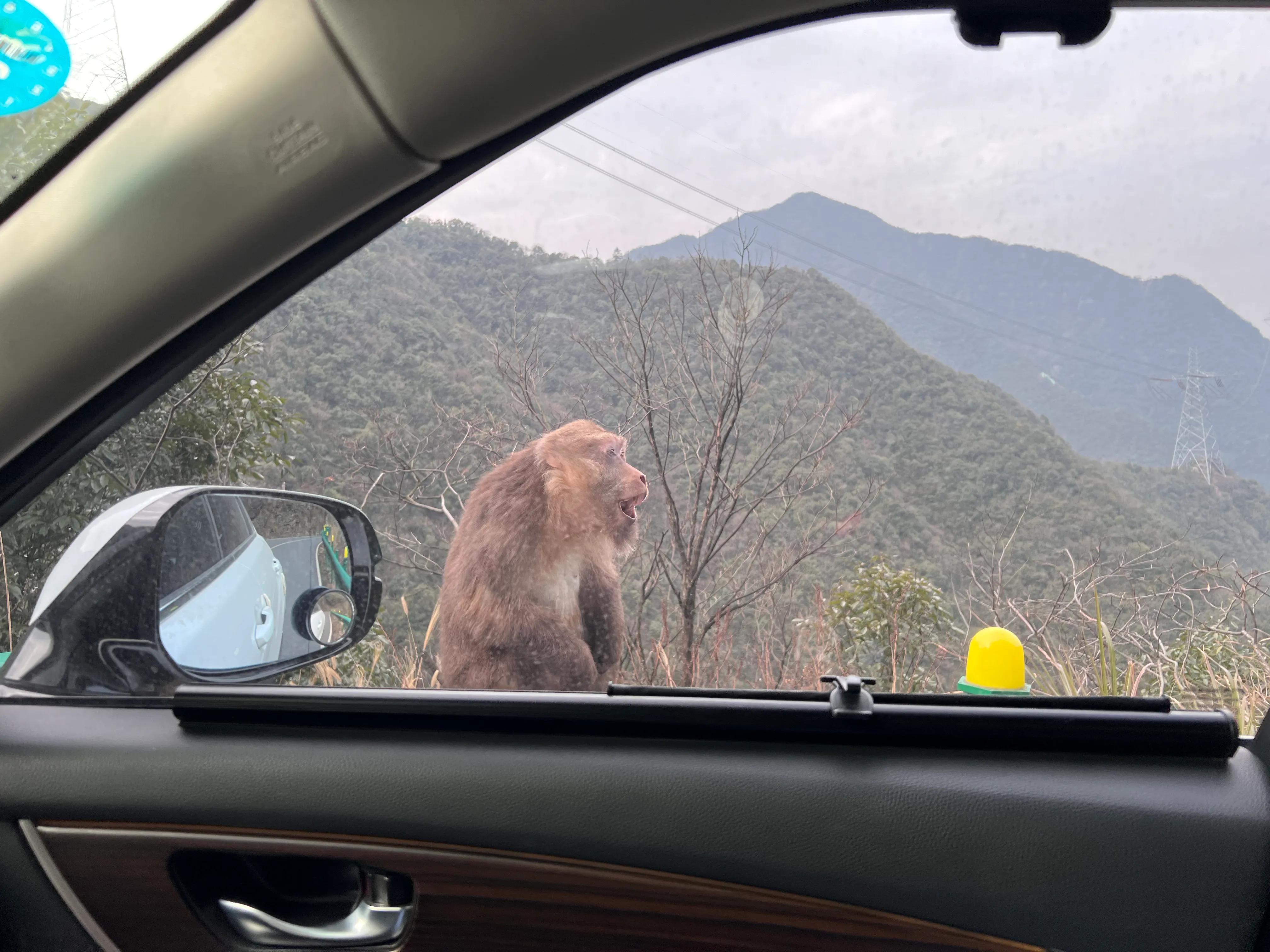 金华出发皖南318川藏线二日游,皖南川藏线318几月份去比较好