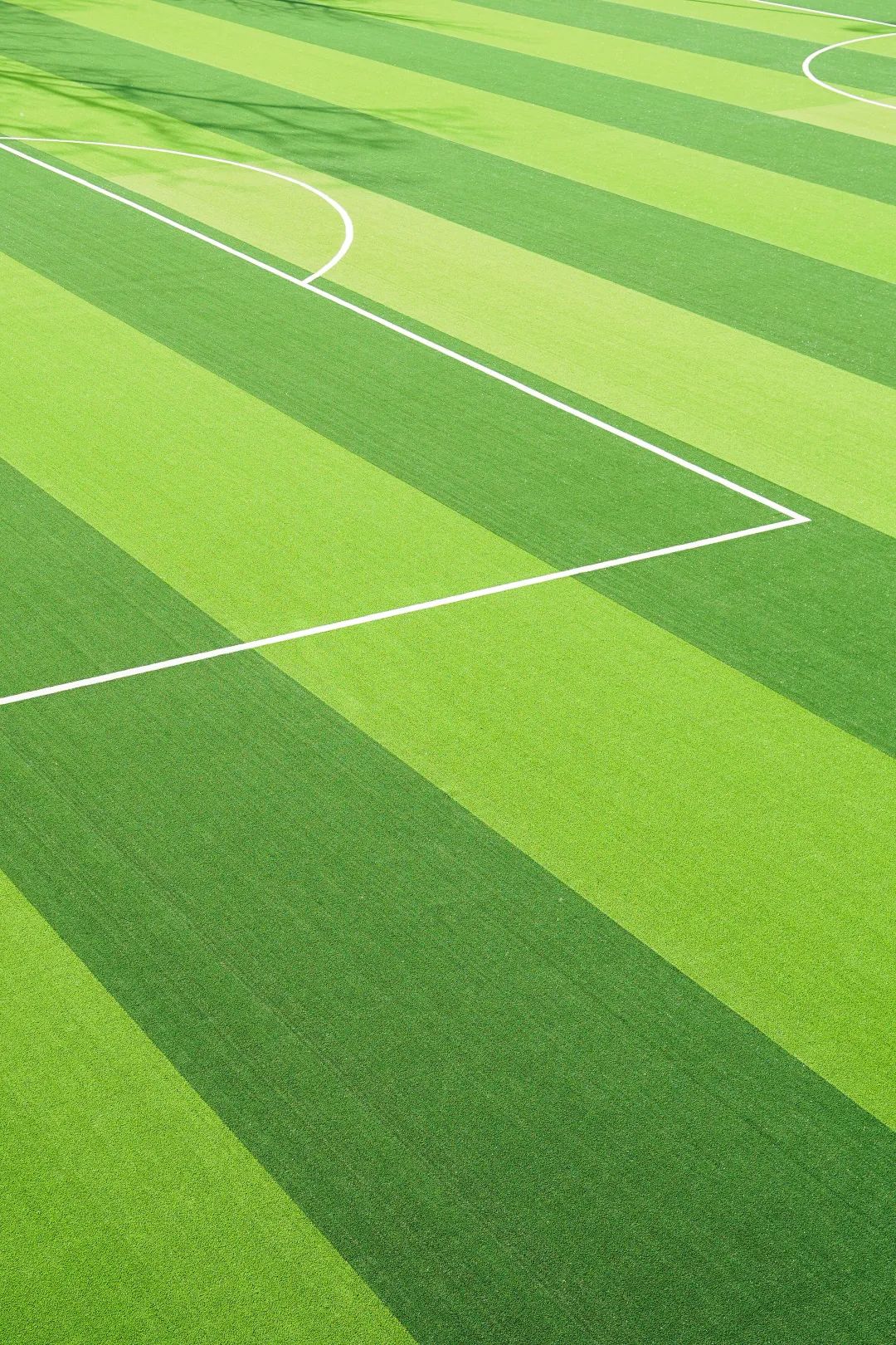 足球场改造扩建,最新足球场开放