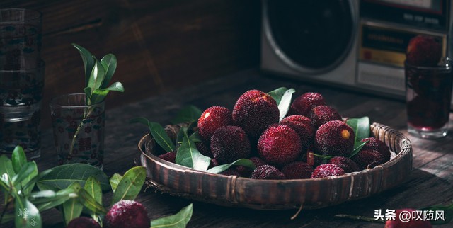 杨梅酒,杨梅酒的泡制方法