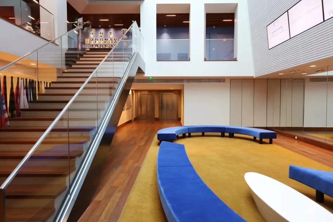 周周说学历,周周说艺术