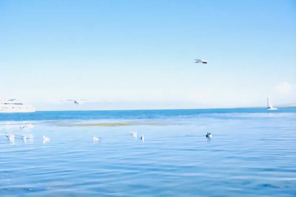 买包不能解决的问题,买包解决不了的事情