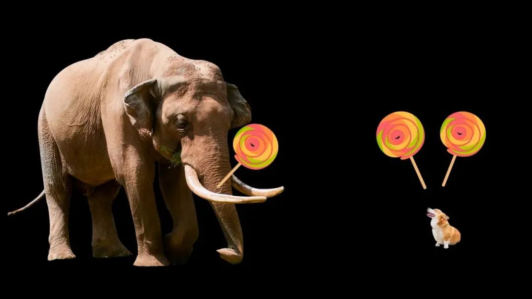 卡塔尔世界杯有多壕,2022卡塔尔世界杯入选国家