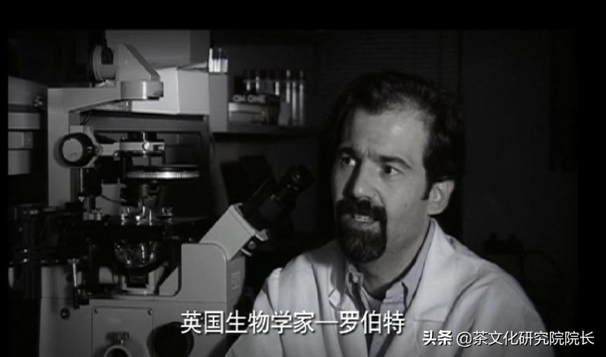 天康伟业茶色素图片,北京天康伟业有限公司