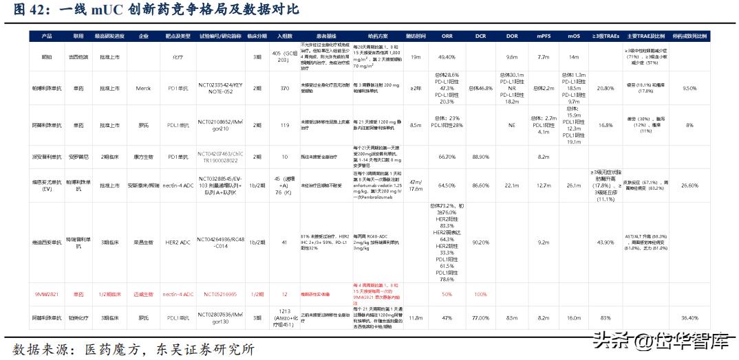 有效避开内卷，迈威生物：ADC锋芒初显，快速成长的Biopharma