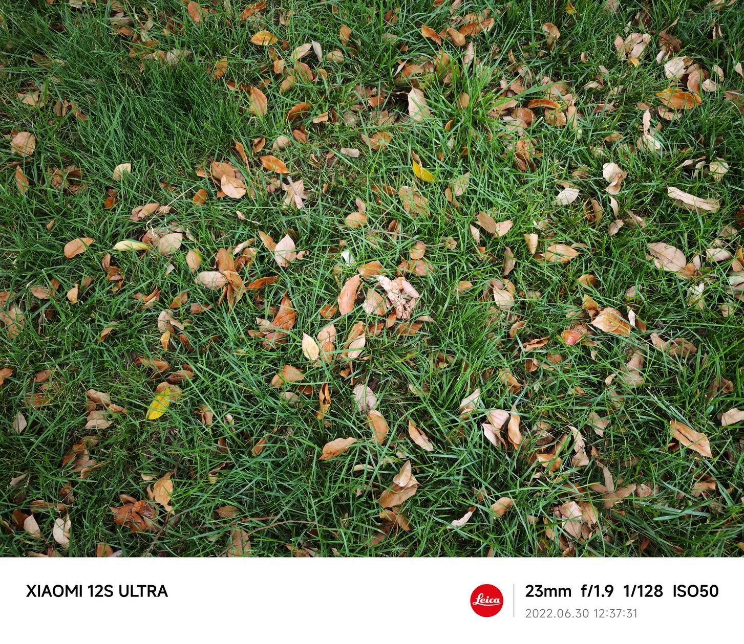 小米12sultra评测首发,小米12sultra影像测评最新