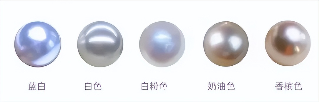 最贵的珍珠是哪种珍珠,世界最大的珍珠品种