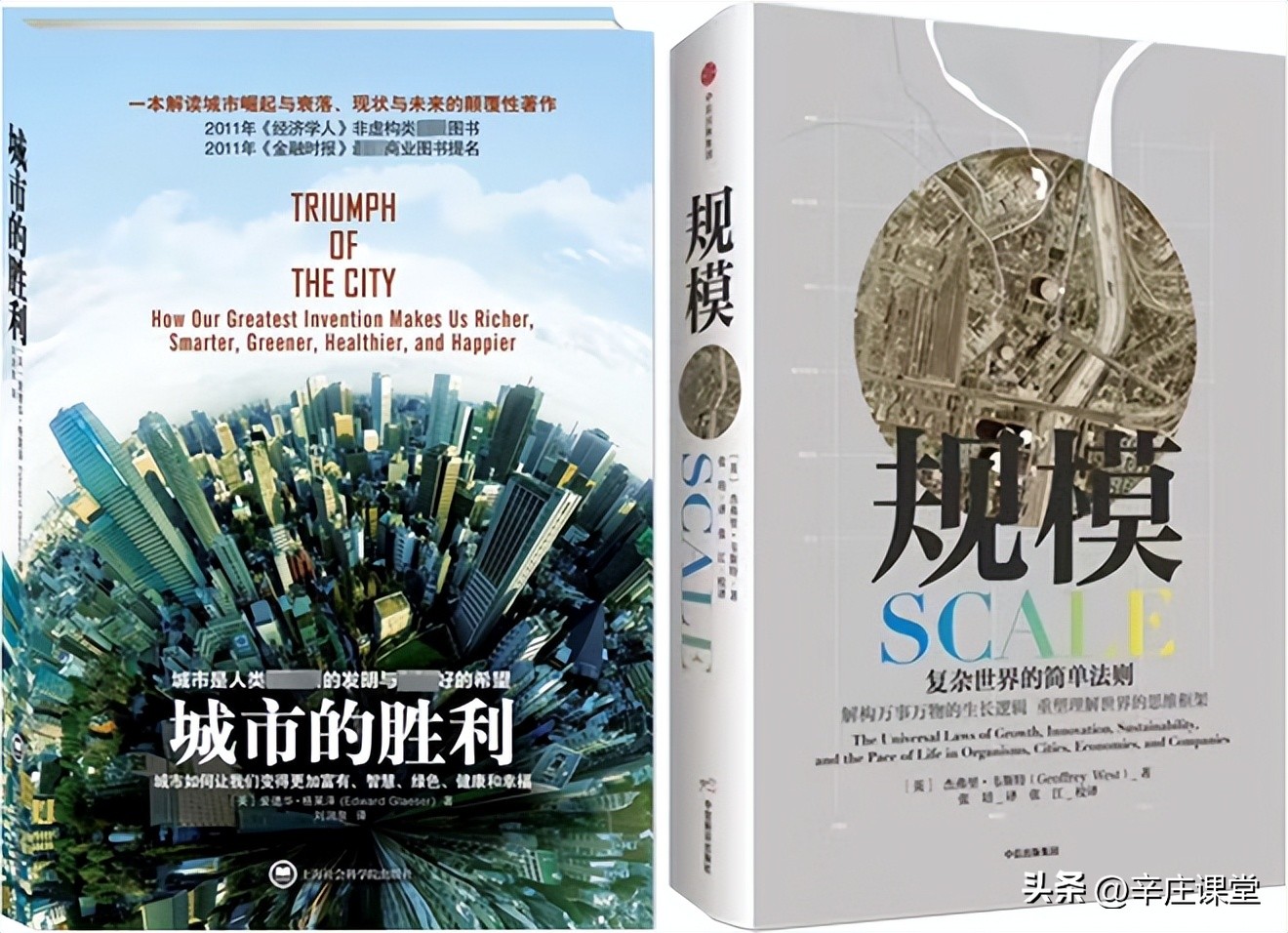 徐林服务业转型,徐林现在情况