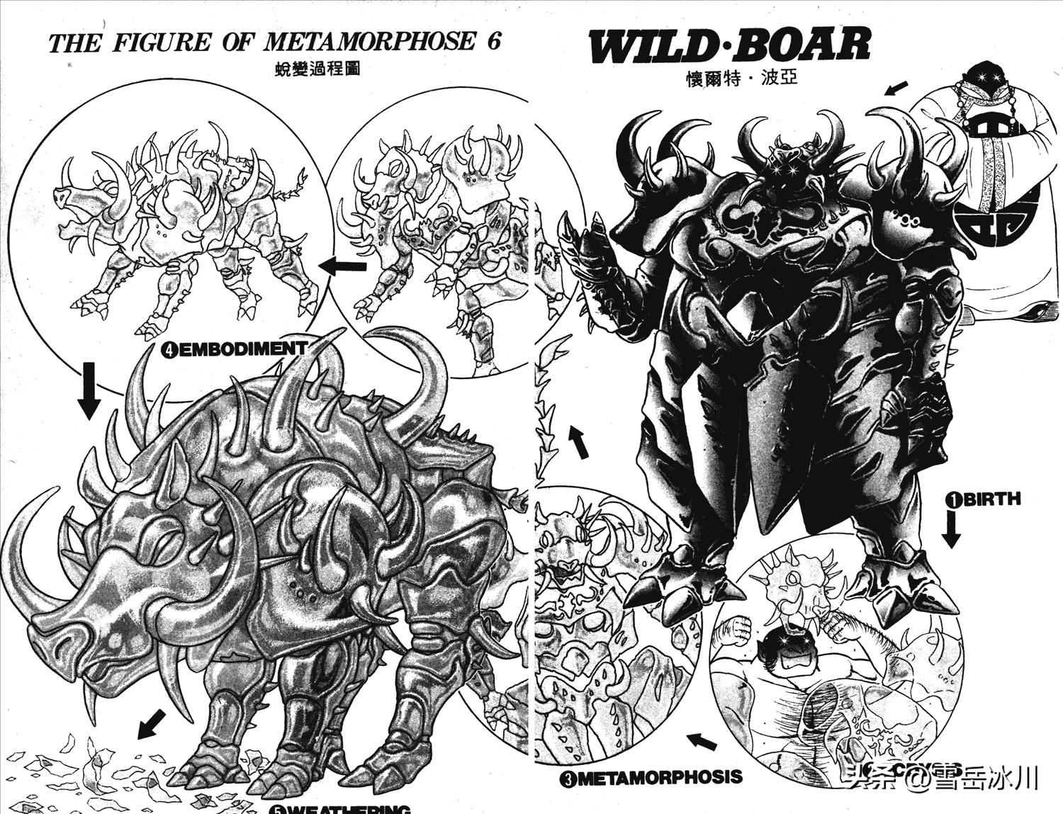 静斗士翔结局,静斗士翔实力排行