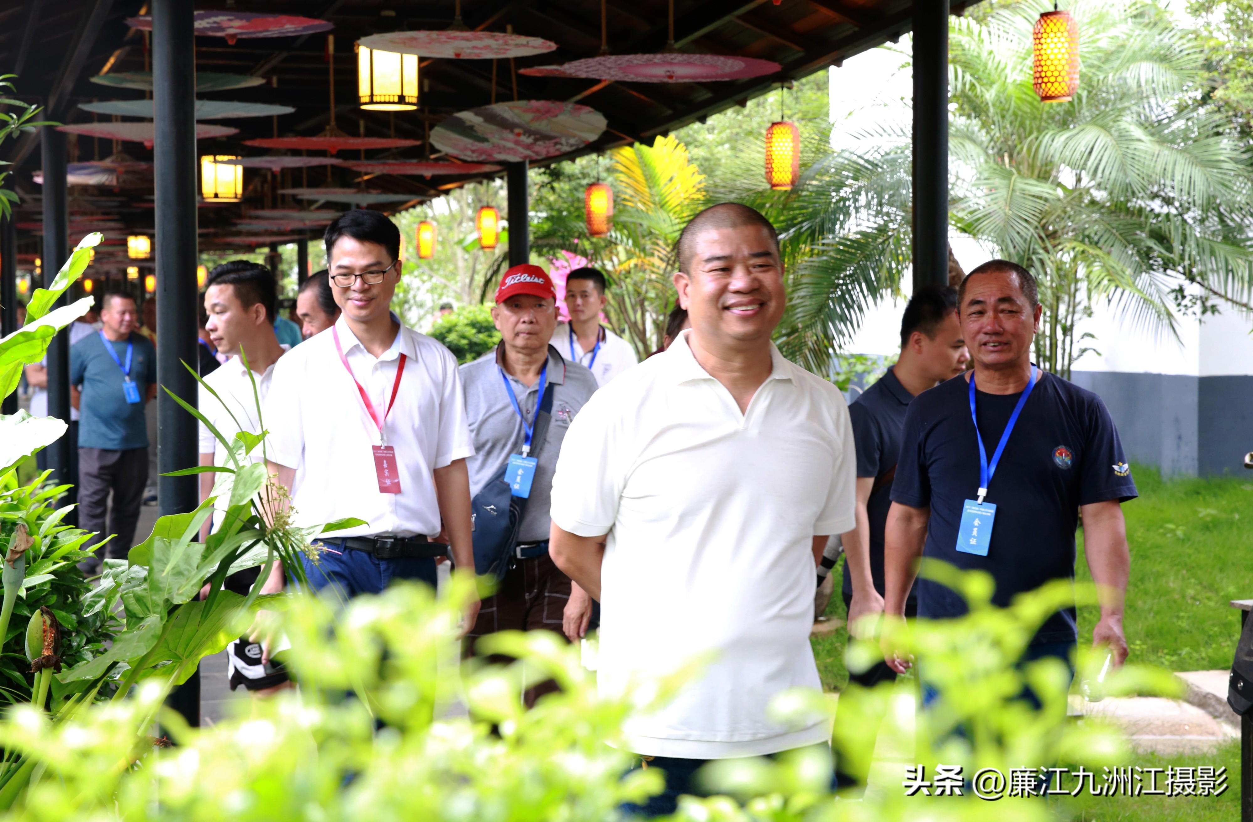 最高端的盆景展,一场惊艳的盆景展