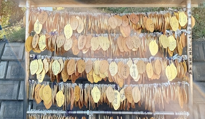 茨城旅行,茨城和茨城县