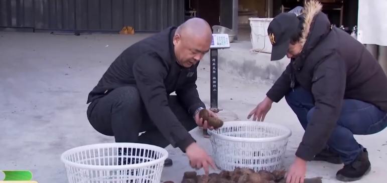 仅有积蓄23块钱，山东小伙大胆借600万，捞出大连海底“小黄金”