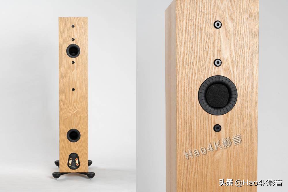 猛牌monitor300落地音箱,猛牌铂金300音箱怎样