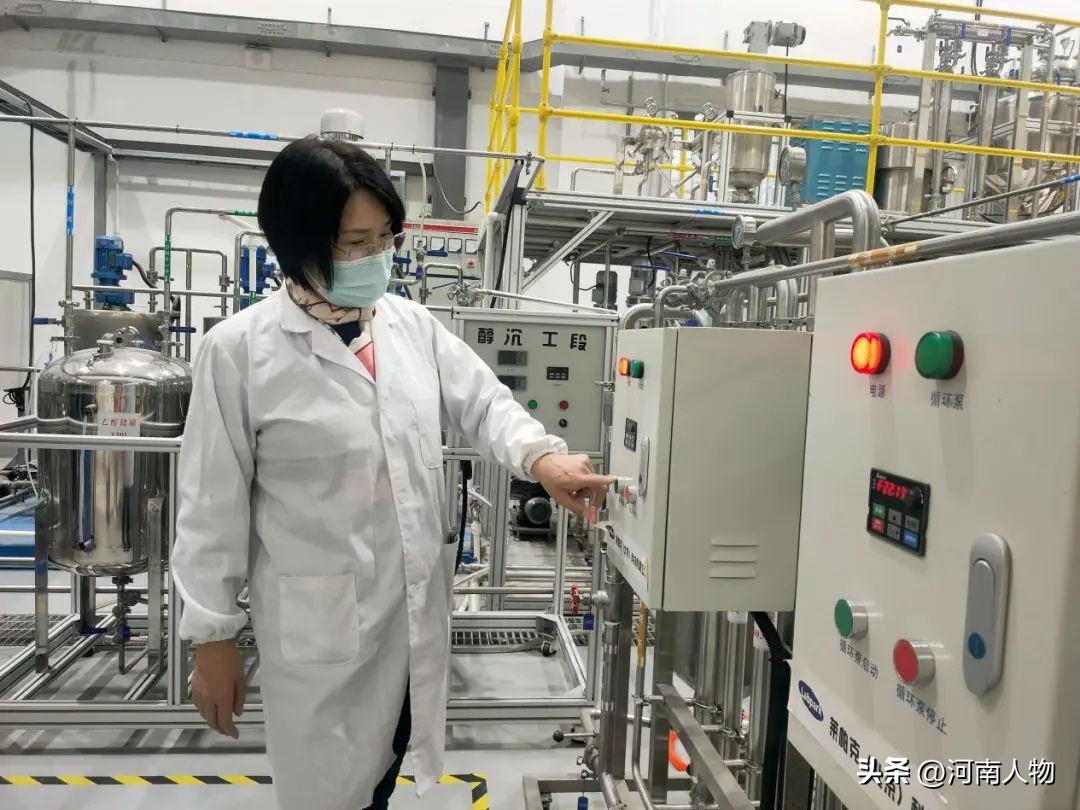 创新“她”力量｜黄继红打破国外垄断让河南小麦端向“世界餐桌”