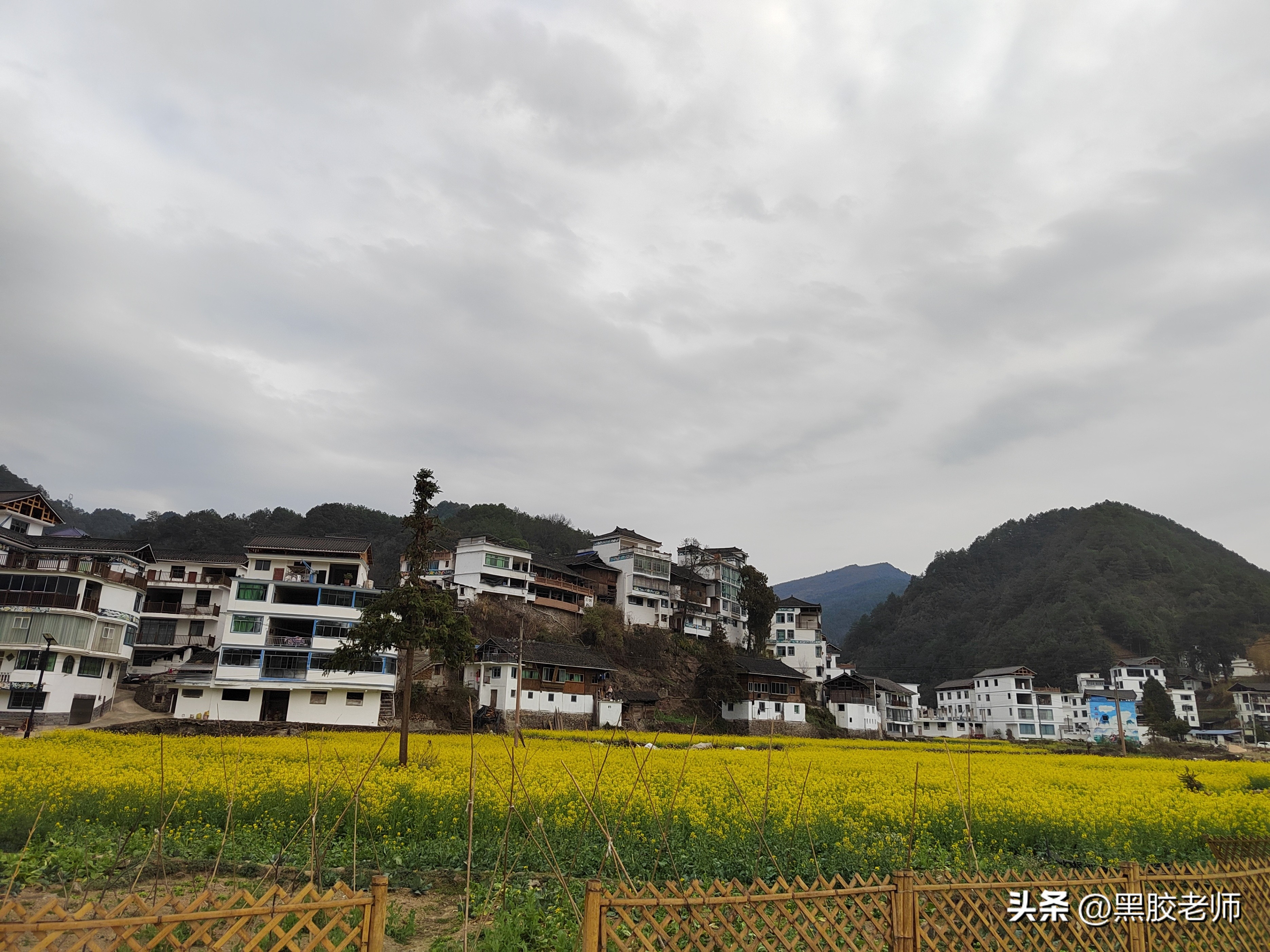 三月的花海景色,3月份哪里有花海