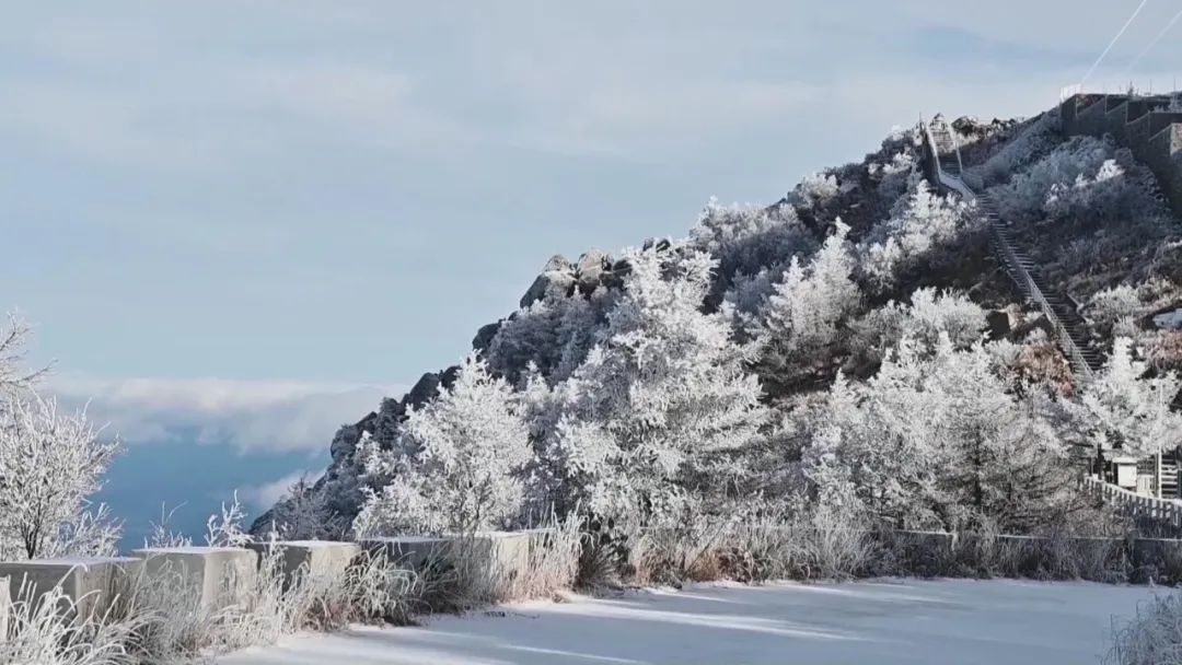 承德雾灵山一日游,河北兴隆雾灵山一日游