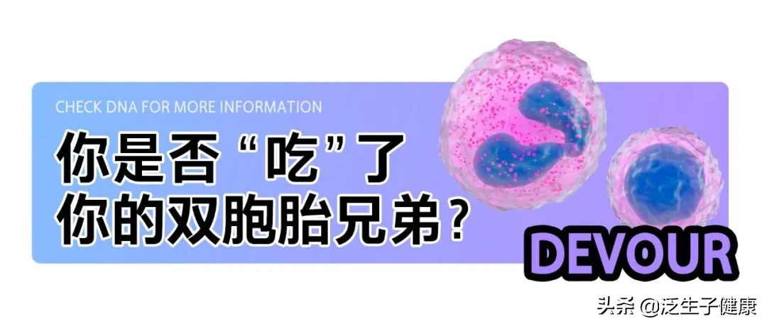 怀了双胞胎，最后却只有一个孩子？原来是一个“吃”掉了另一个