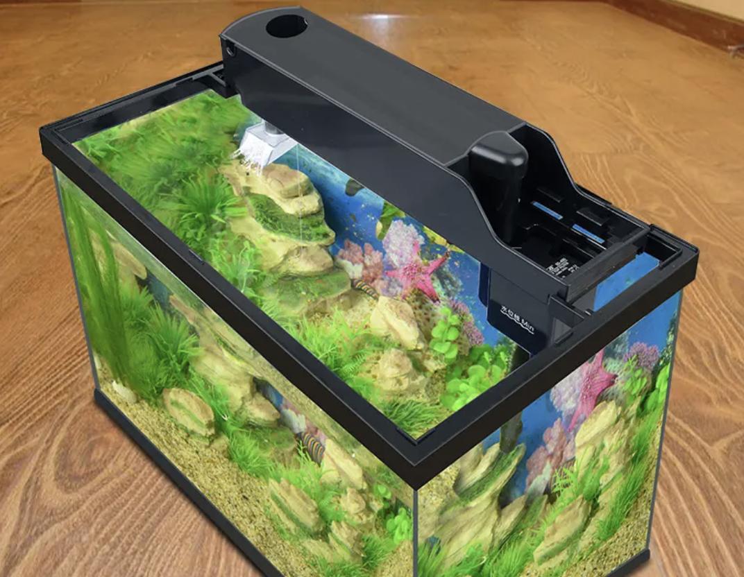 孔雀鱼鱼苗鱼缸过滤,小型侧滤鱼缸养孔雀鱼怎么样