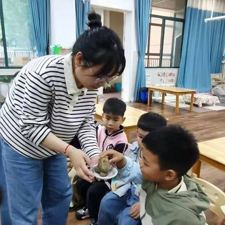 桐乡市庆安乐儿堡幼儿园,浙江省桐乡市庆安乐儿堡幼儿园