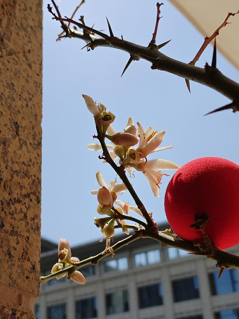 续航可达100公里的电池,华为巨鲸电池52度能续航多少公里