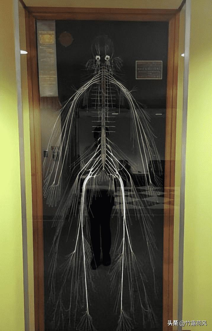 集中营惨状：30张老照片揭示妇女衣不遮体的悲惨命运！