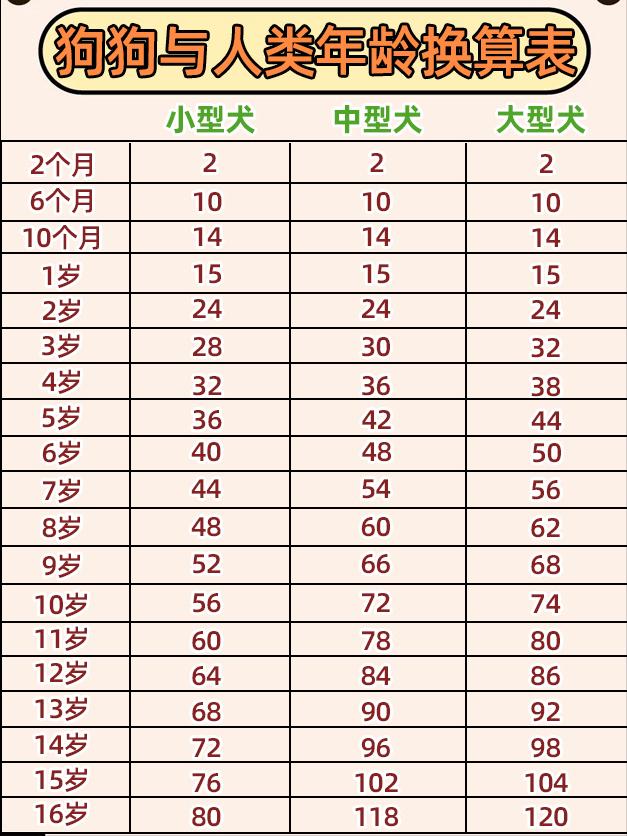 兽医评价宠物寿命,狗狗寿命跟什么有关