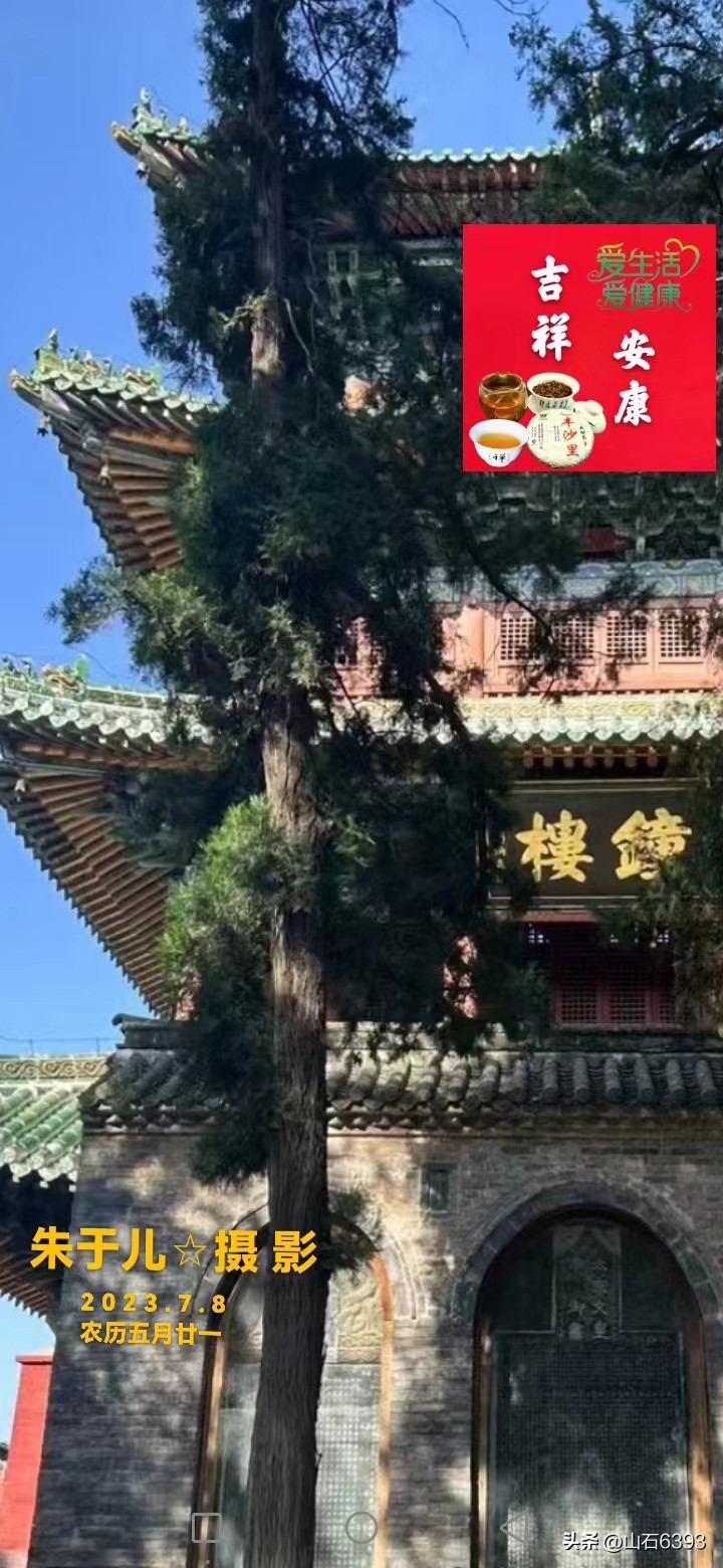 陈民“永远的78师”74：瞎参谋乱干事胡助理～司政后机关的精英们