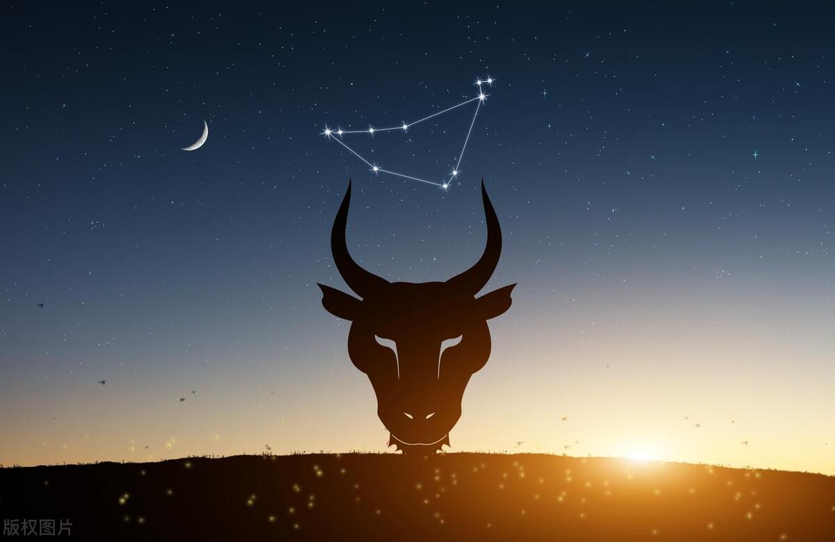 十二星座在职场上的表现,十二星座职场分析